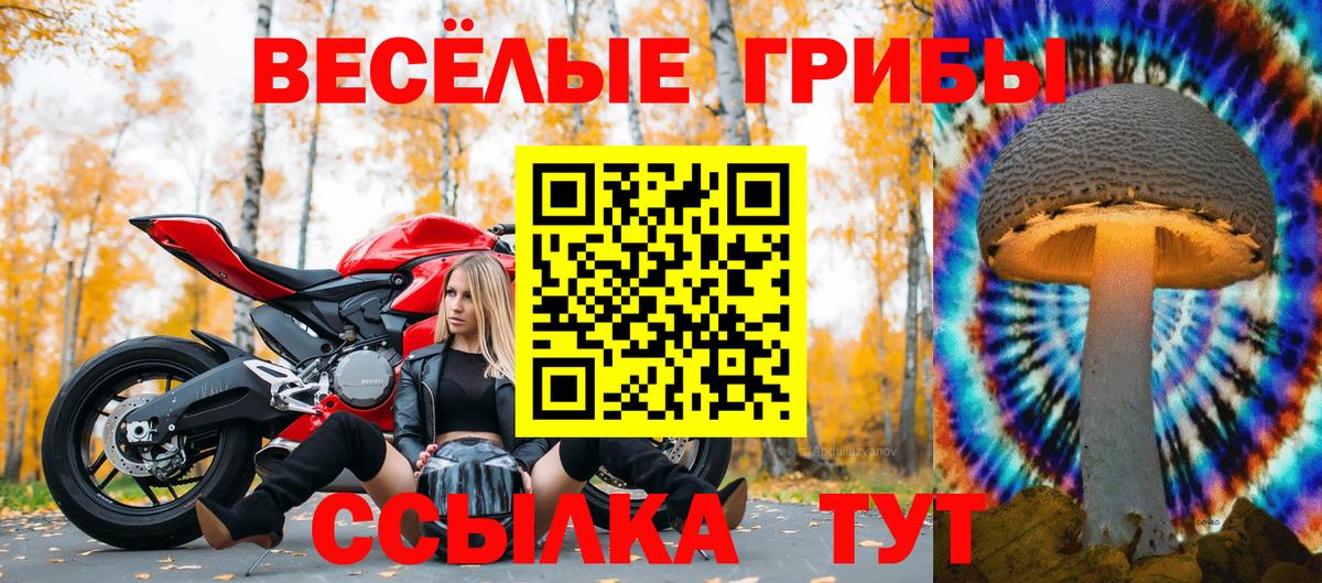Псилоцибиновые грибы мицелий  Псилоцибиновые грибы Psilocybine cubensis  Вход с VPN  Тверь 